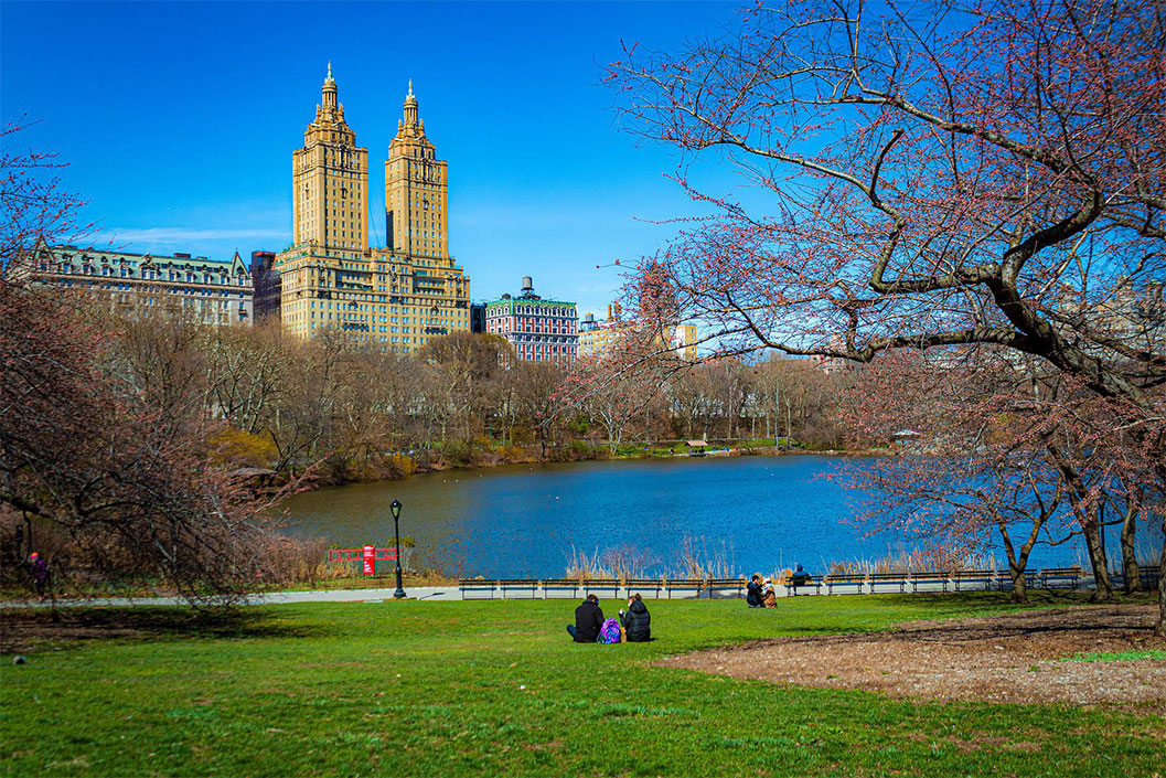 New York's Fun and Money-saving Attractions
